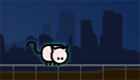 surprises : Petit chat