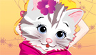 surprises : Le petit chaton