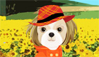 habillage : Kim le chien