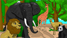 surprises : Eyepet