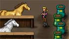 surprises : Nourrir des chevaux