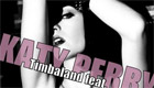 Timbaland - If We Ever Meet Again ft. Katy Perry